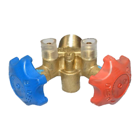 Flasche Service Ventil 2 Wege OMECO 7601900184