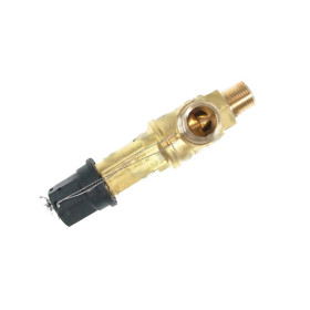 Safety valve castel 3030-44c250